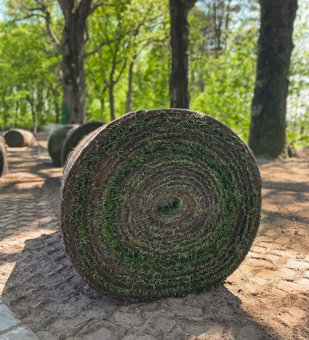 Een Big Roll graszode van Graszoden Lavrijsen, klaar om te leggen