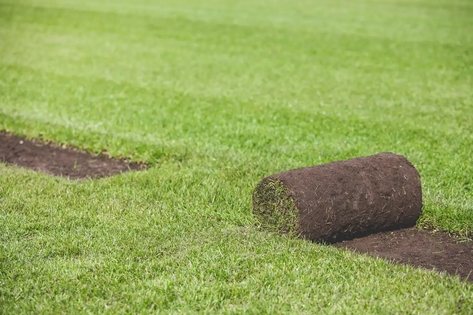 Een opgerolde graszode naast een pas gelegd gazon