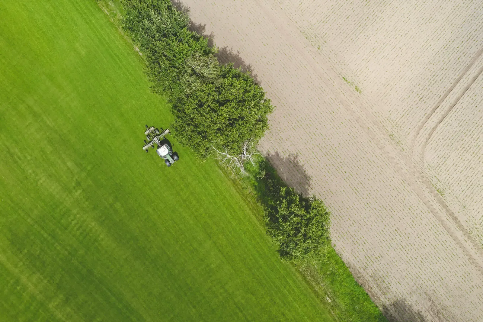 Luchtfoto van een tractor die graszoden oogst bij Graszoden Lavrijsen
